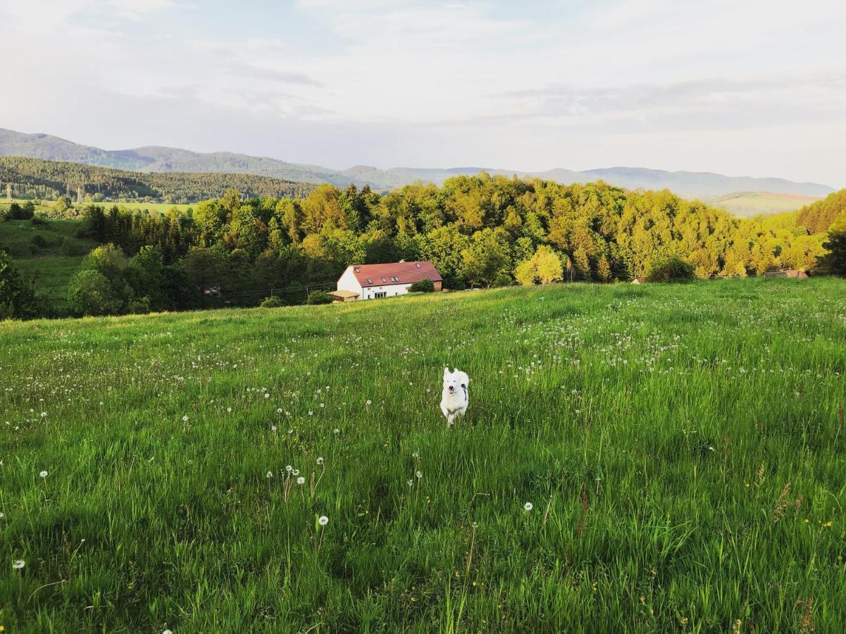 Zapomnienie Vila Nowa Ruda Exterior foto